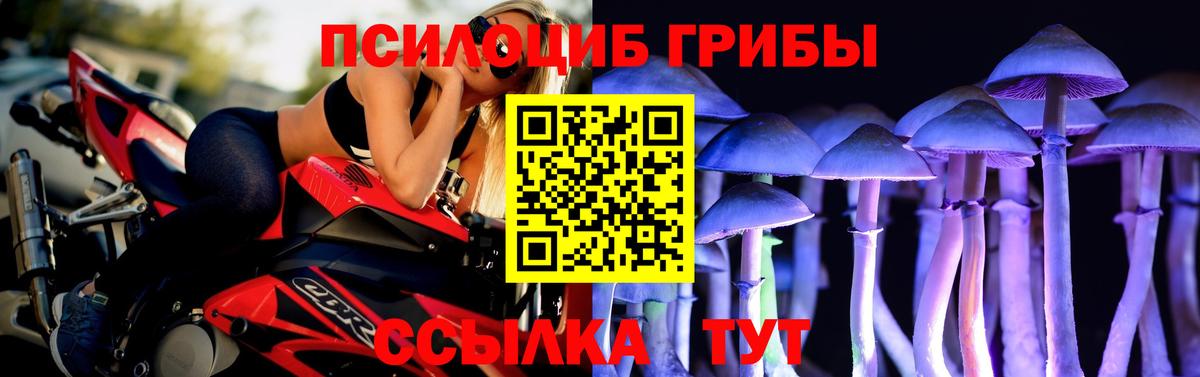 Сердобск  Псилоцибиновые грибы Psilocybine cubensis  Галлюциногенные грибы Cubensis  Вход с VPN 